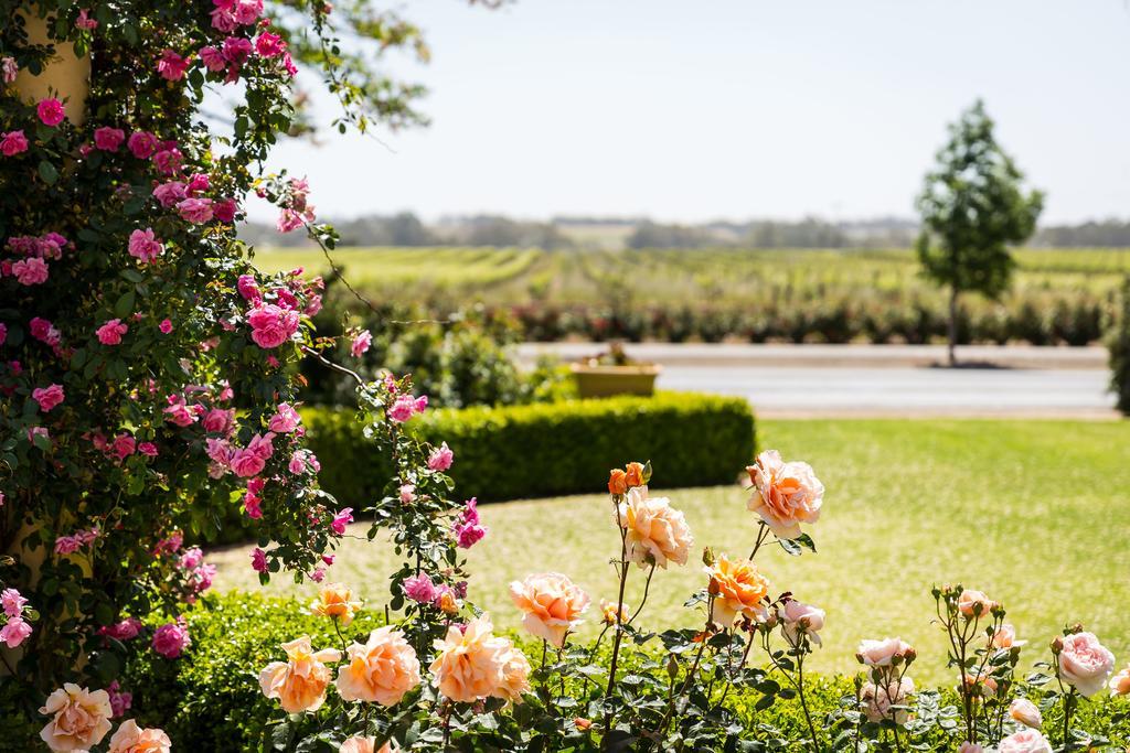 Barossa House Bed & Breakfast Tanunda Bagian luar foto