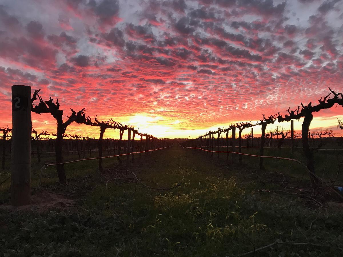 Barossa House Bed & Breakfast Tanunda Bagian luar foto