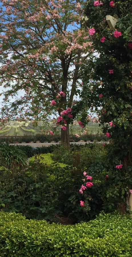 Barossa House Bed & Breakfast Tanunda Bagian luar foto
