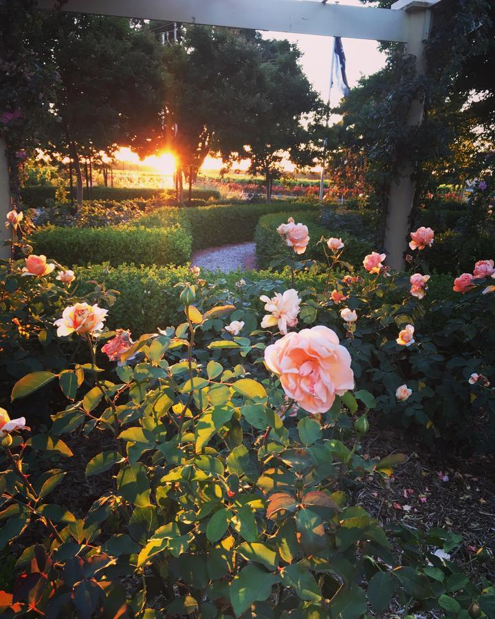 Barossa House Bed & Breakfast Tanunda Bagian luar foto