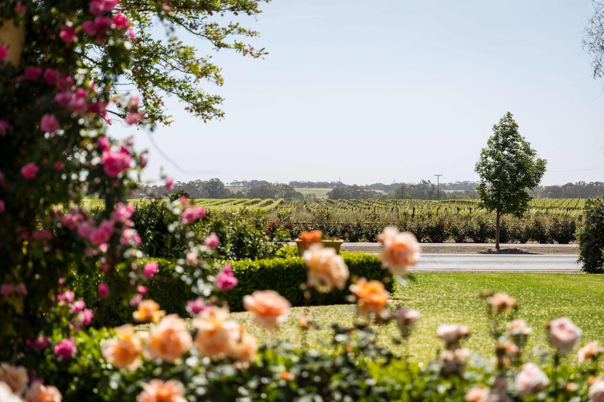 Barossa House Bed & Breakfast Tanunda Bagian luar foto