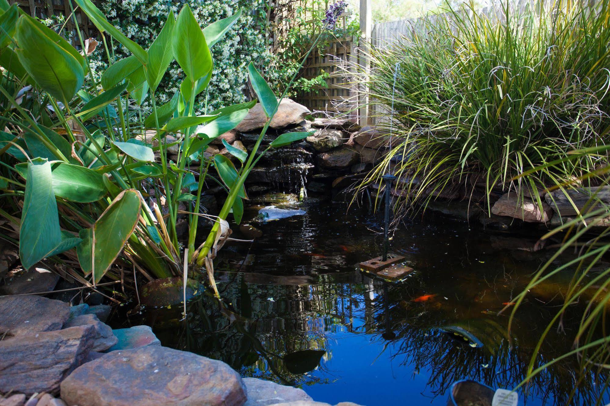 Barossa House Bed & Breakfast Tanunda Bagian luar foto