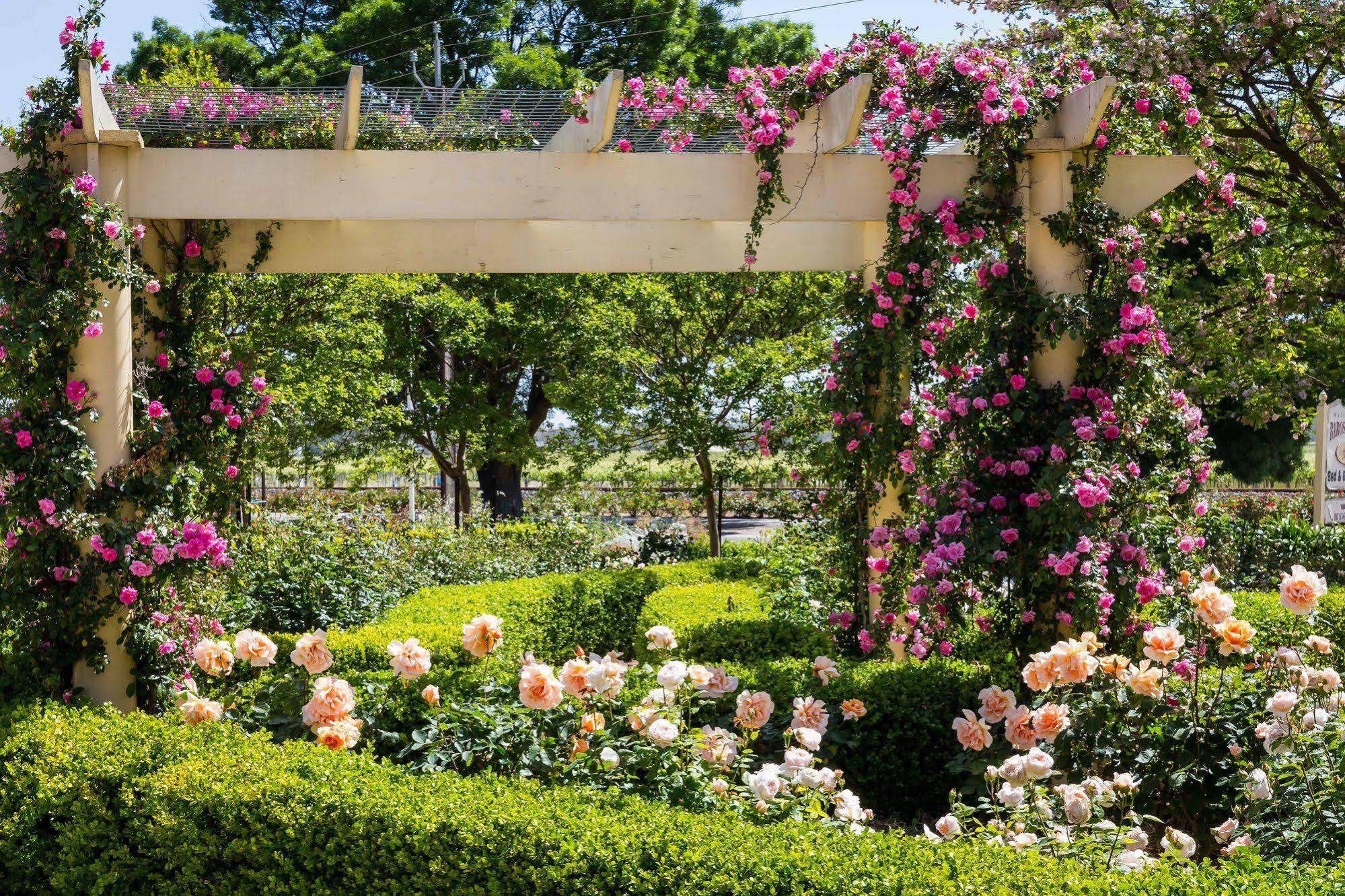 Barossa House Bed & Breakfast Tanunda Bagian luar foto