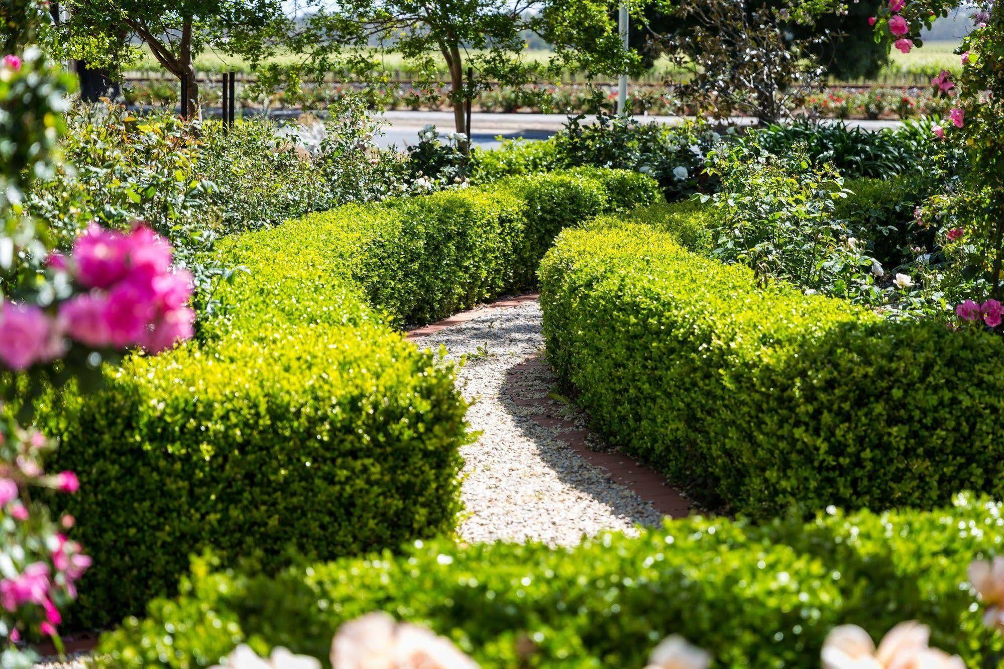 Barossa House Bed & Breakfast Tanunda Bagian luar foto